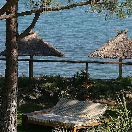 La Roya 4*