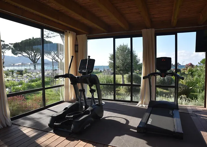 La Roya Saint-Florent (Corsica)