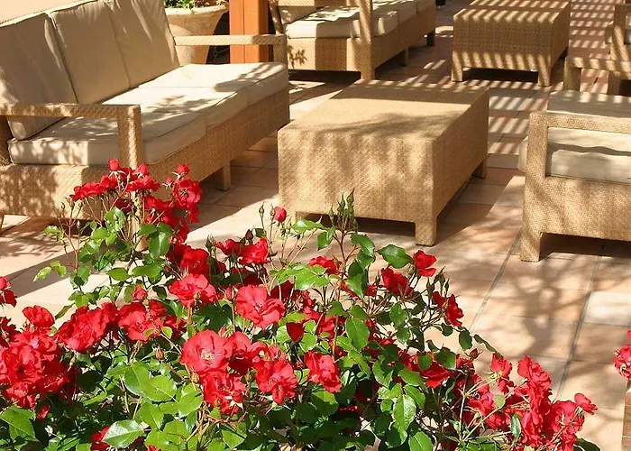 La Roya Saint-Florent (Corsica)