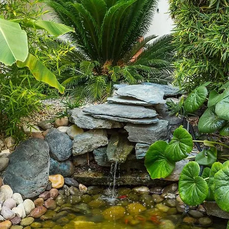 מלון La Roya סן פלורן