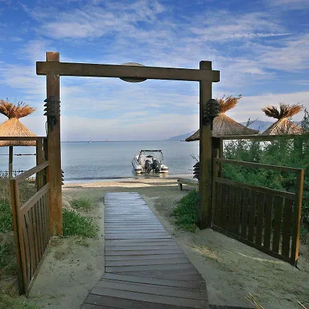 La Roya Saint-Florent (Corsica)