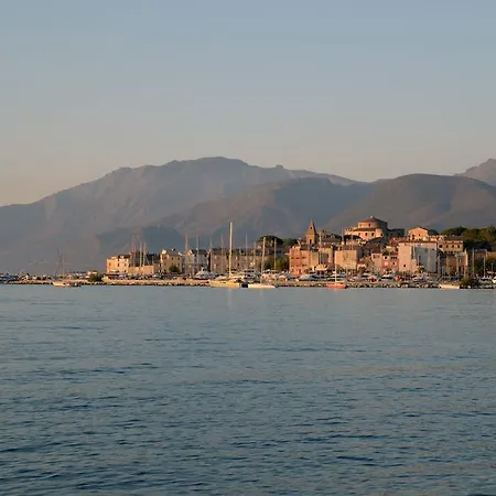 La Roya