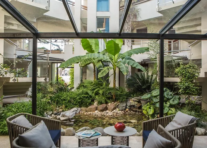 La Roya Saint-Florent (Corsica)