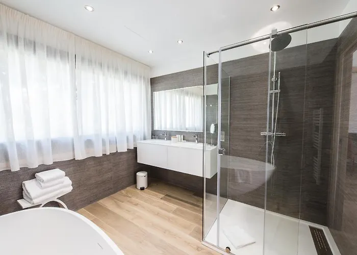 Hotel La Roya 4*