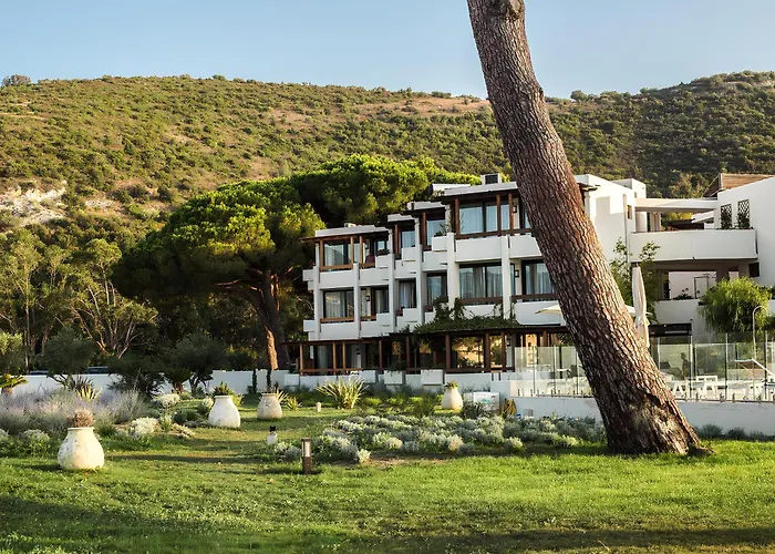 La Roya Saint-Florent (Corsica)