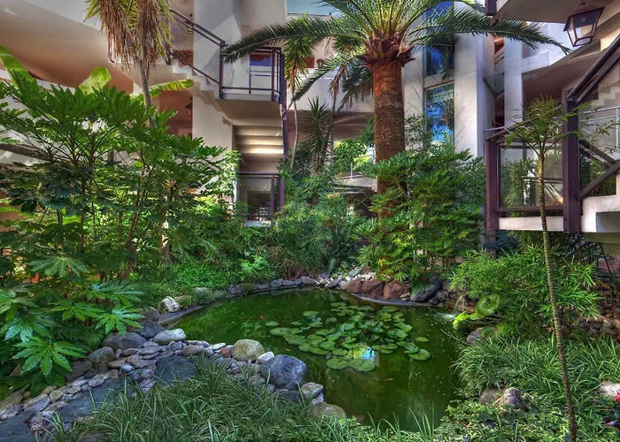 La Roya